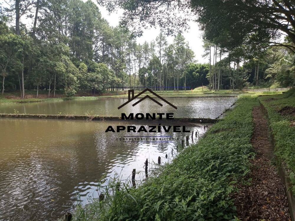 Terreno, 2 hectares - Foto 4