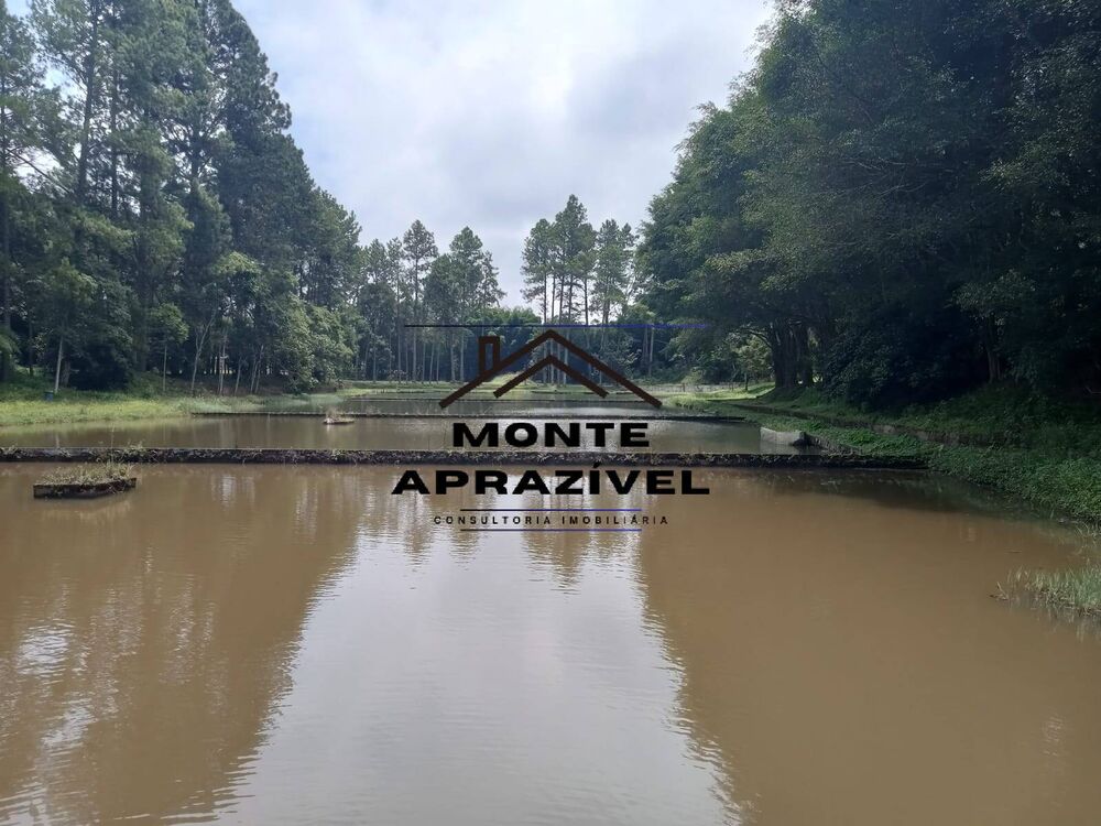 Terreno, 2 hectares - Foto 17