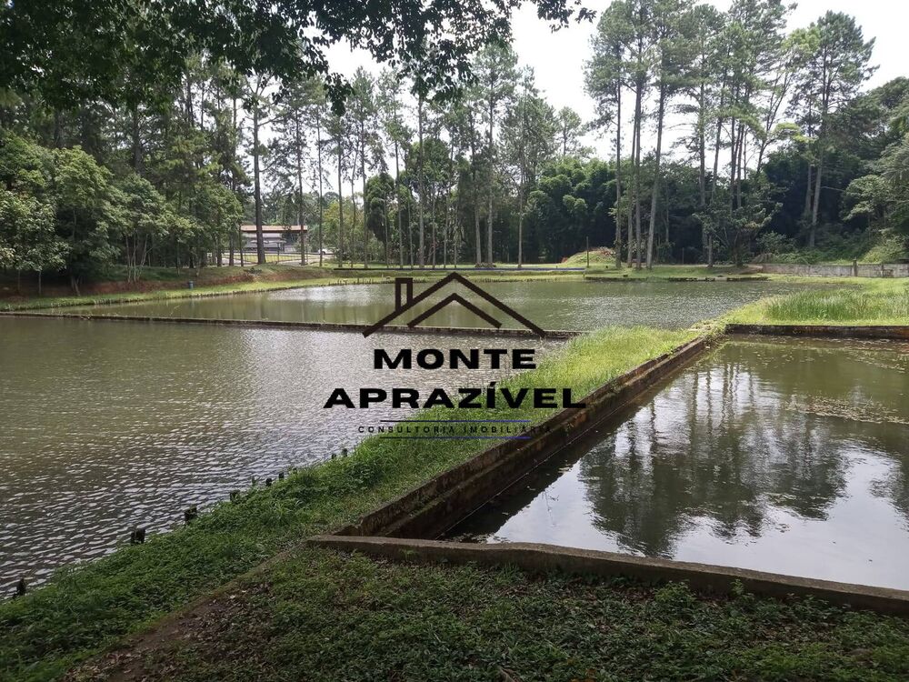 Terreno, 2 hectares - Foto 6