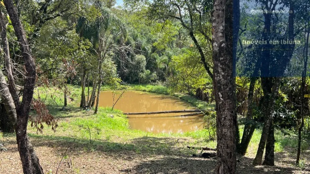 Sítio, 4 quartos, 2 hectares - Foto 3