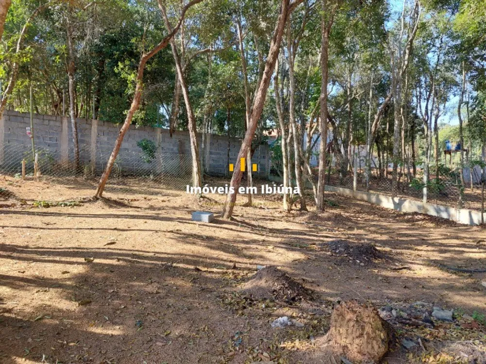 Chácara, 4 quartos, 1000 m² - Foto 12