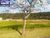 Terreno, 1006 m² - Foto 3