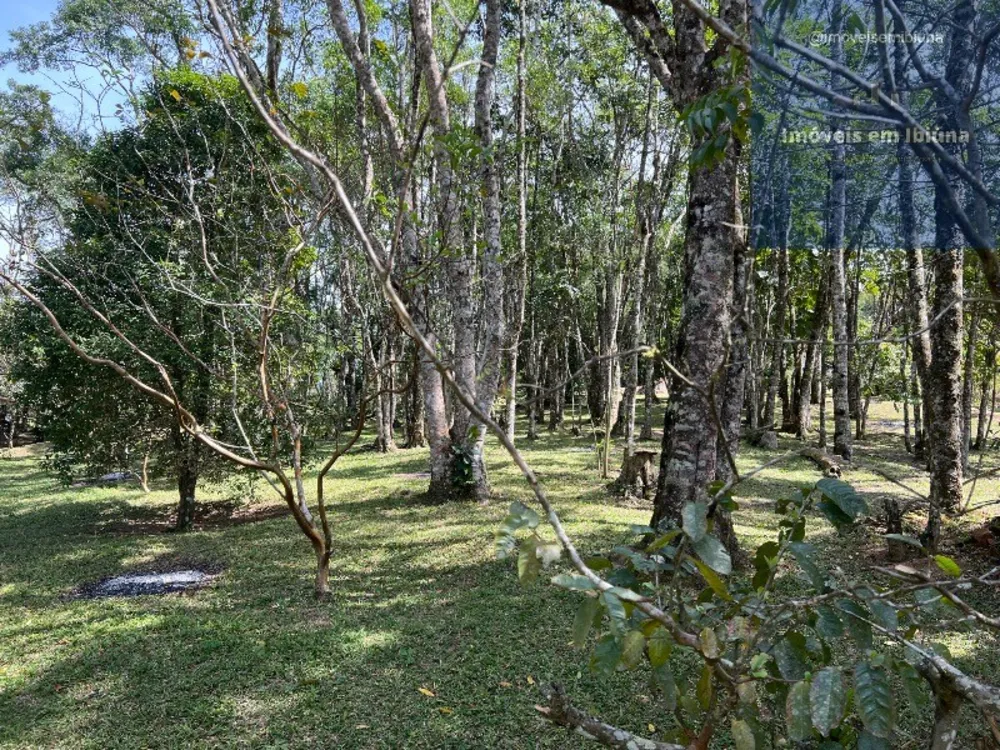 Sítio, 3 quartos, 7 hectares - Foto 8