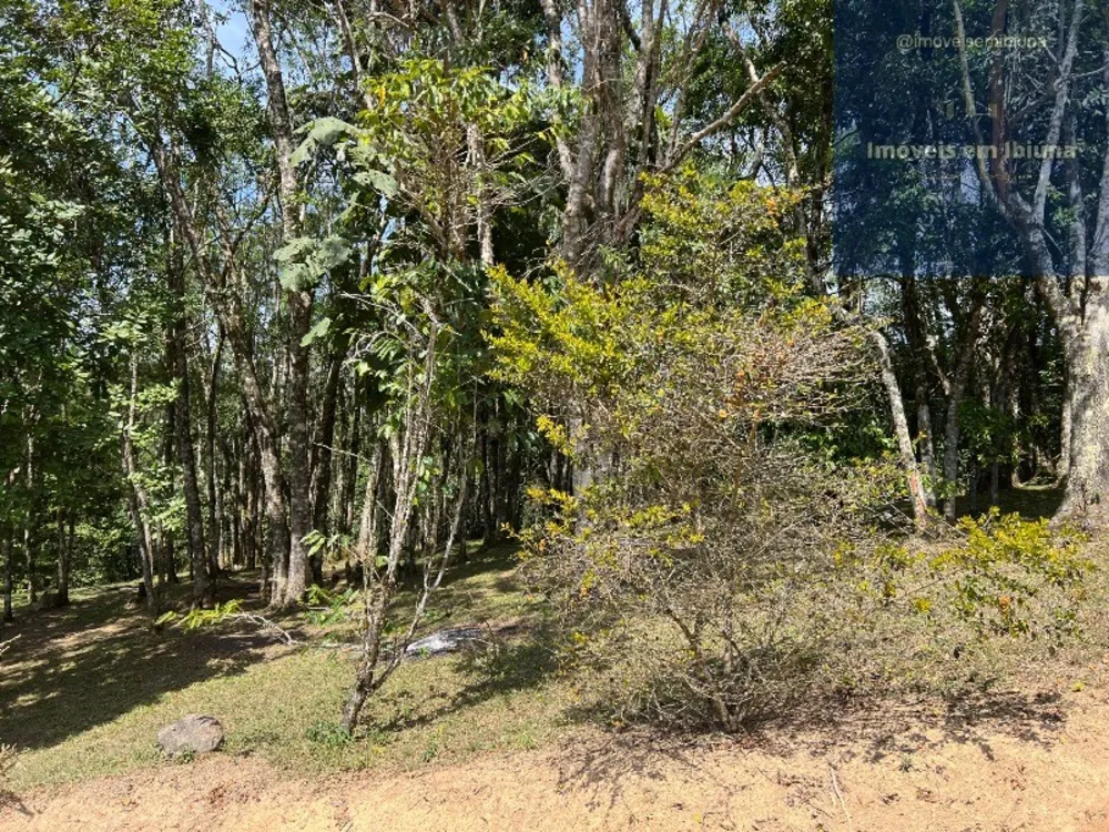 Sítio, 3 quartos, 7 hectares - Foto 13