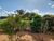 Sítio, 3 quartos, 1 hectares - Foto 19