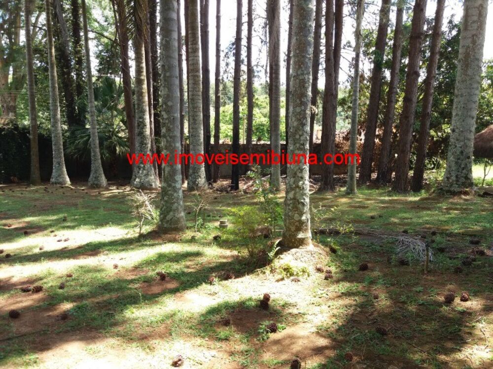 Chácara à venda com 4 quartos, 5000m² - Foto 44