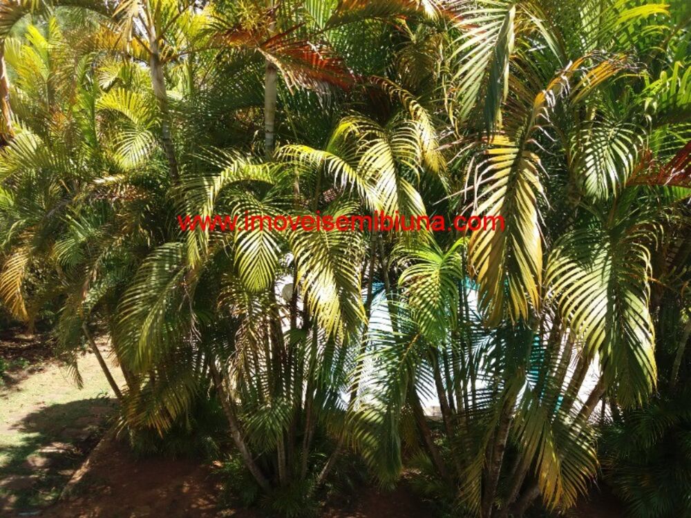 Chácara à venda com 4 quartos, 5000m² - Foto 25