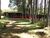 Chácara, 4 quartos, 5000 m² - Foto 42