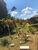 Chácara, 3 quartos, 1 hectares - Foto 37