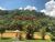 Chácara, 3 quartos, 1 hectares - Foto 35