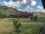 Chácara, 3 quartos, 1 hectares - Foto 27