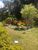 Chácara, 3 quartos, 1 hectares - Foto 4