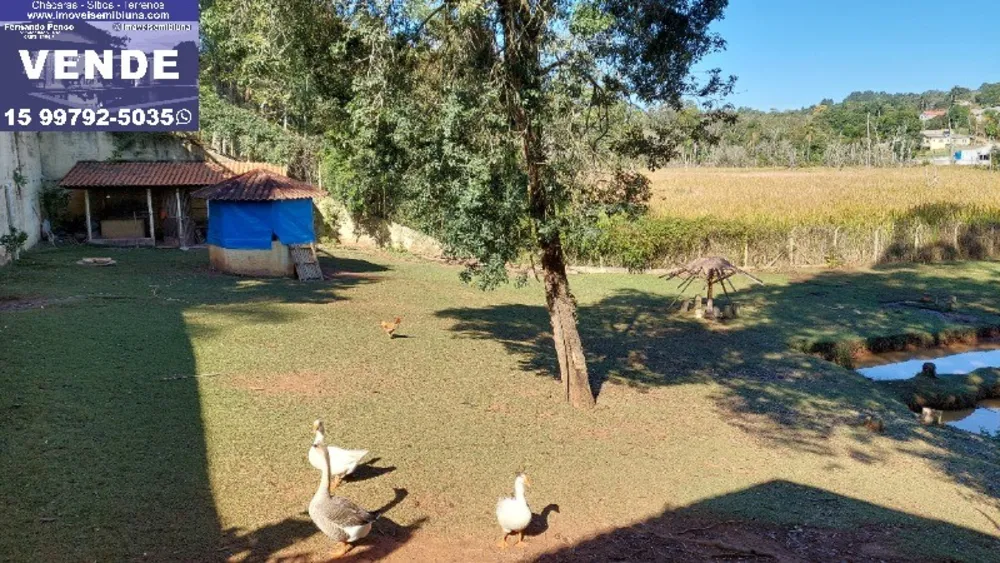 Chácara, 5 quartos, 1500 m² - Foto 7