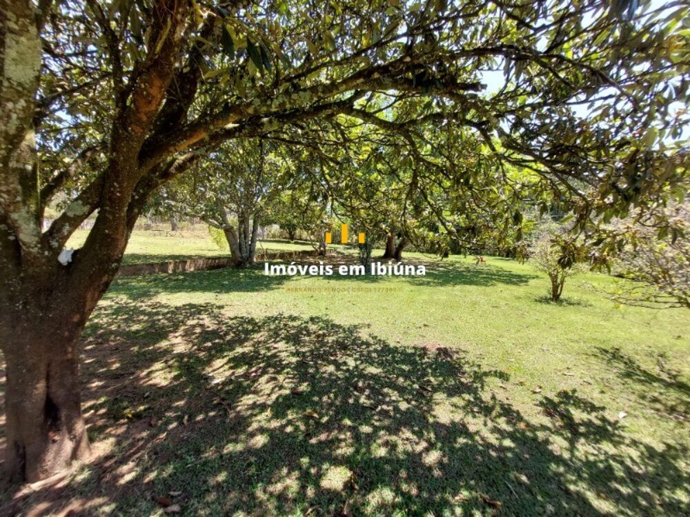 Sítio, 4 quartos, 4000 m² - Foto 20