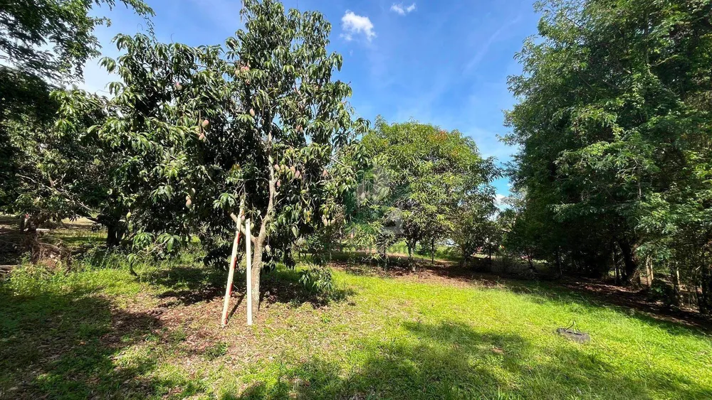 Chácara, 2 quartos, 5512 m² - Foto 13