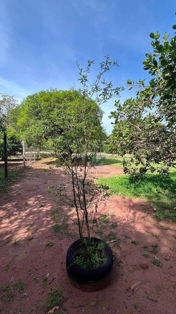 Chácara, 2 quartos, 5512 m² - Foto 10