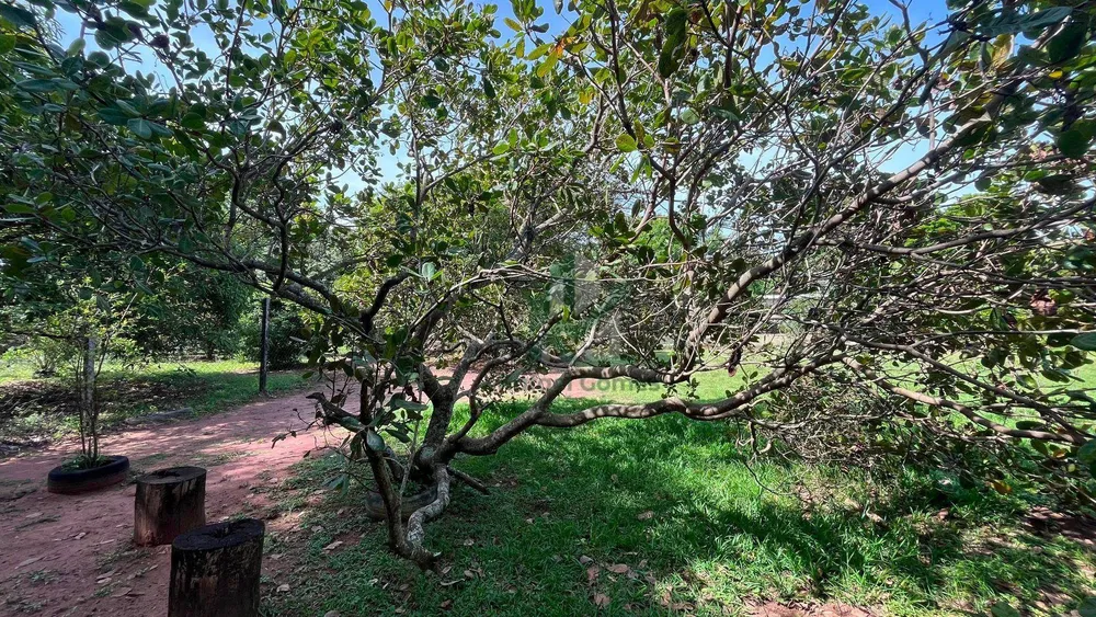 Chácara, 2 quartos, 5512 m² - Foto 9