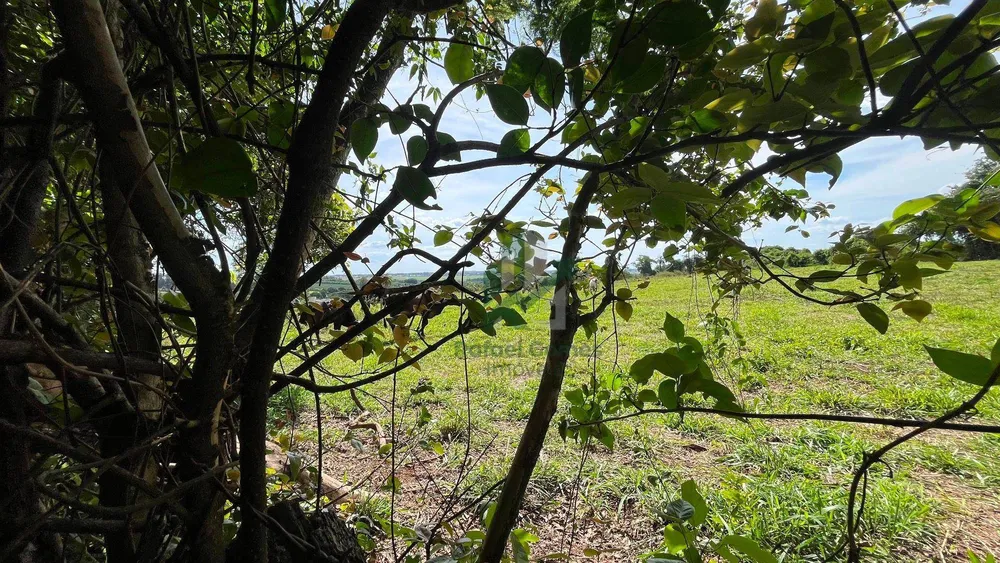 Chácara, 2 quartos, 5512 m² - Foto 6