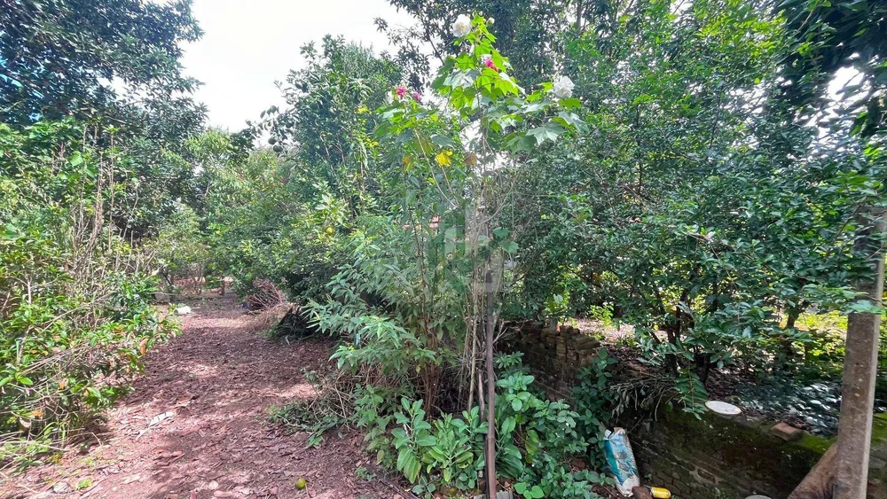 Chácara, 2 quartos, 1200 m² - Foto 12
