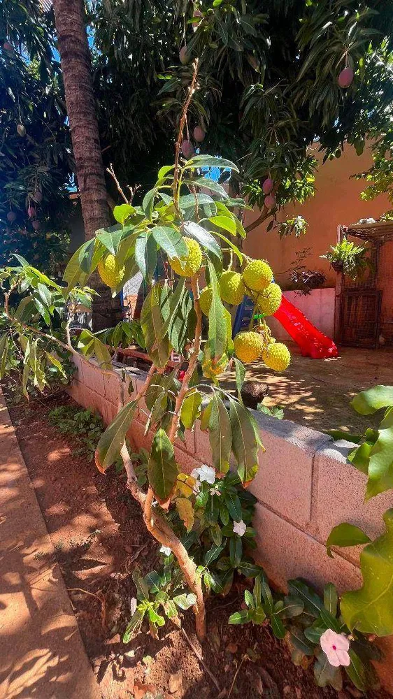Casa, 3 quartos, 180 m² - Foto 16
