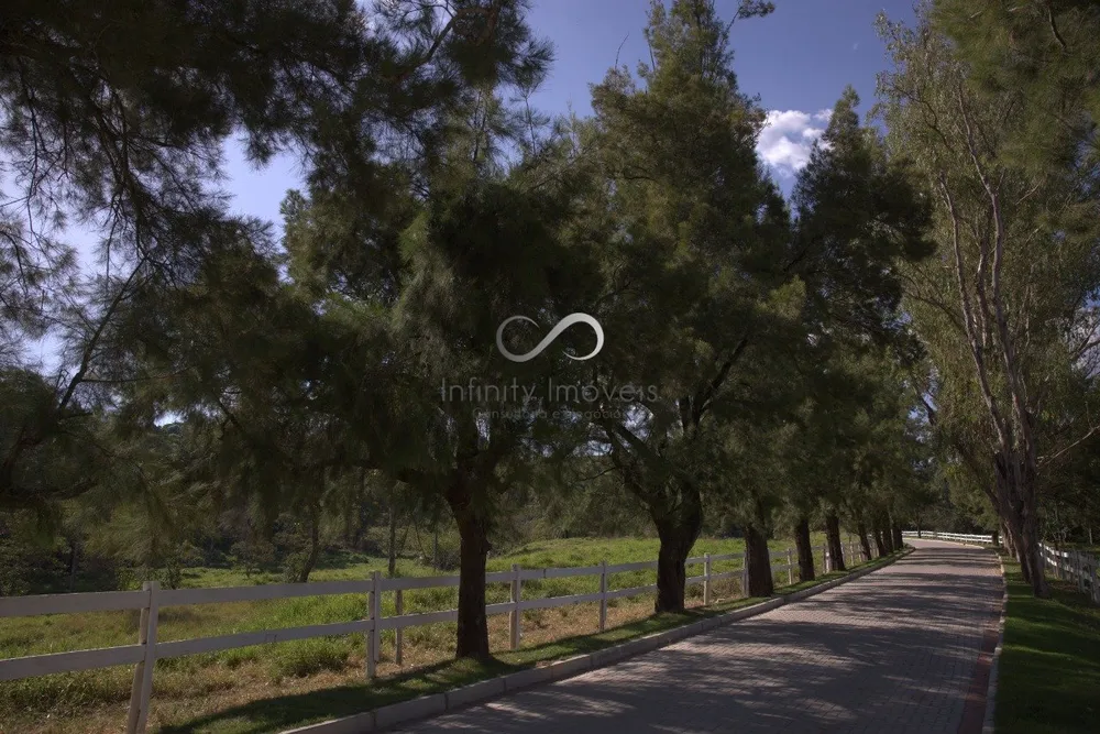 Terreno, 2 hectares - Foto 6
