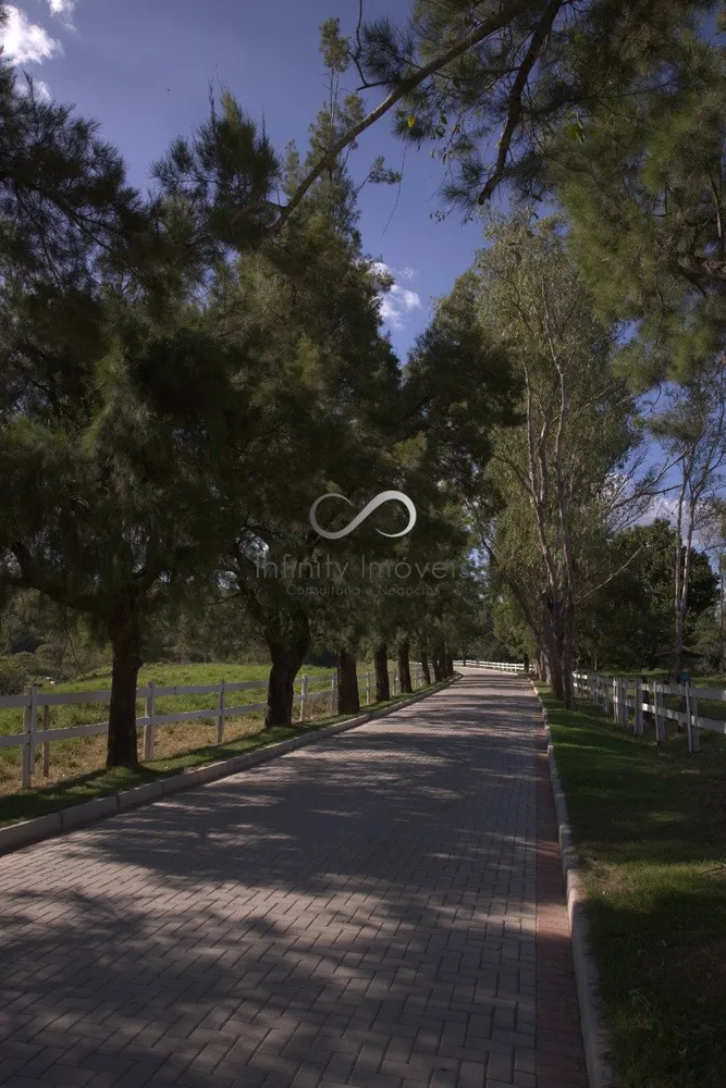 Terreno, 2 hectares - Foto 7