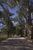 Terreno, 2 hectares - Foto 2