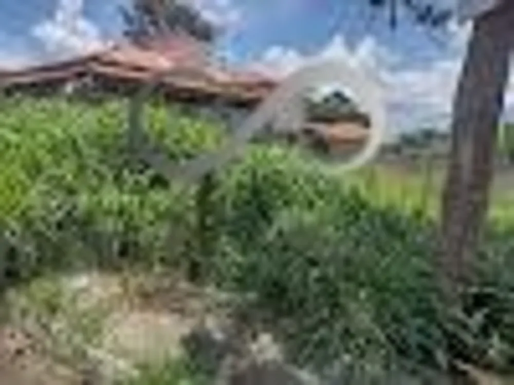 Terreno, 200 m² - Foto 3