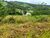 Terreno, 2000 m² - Foto 3