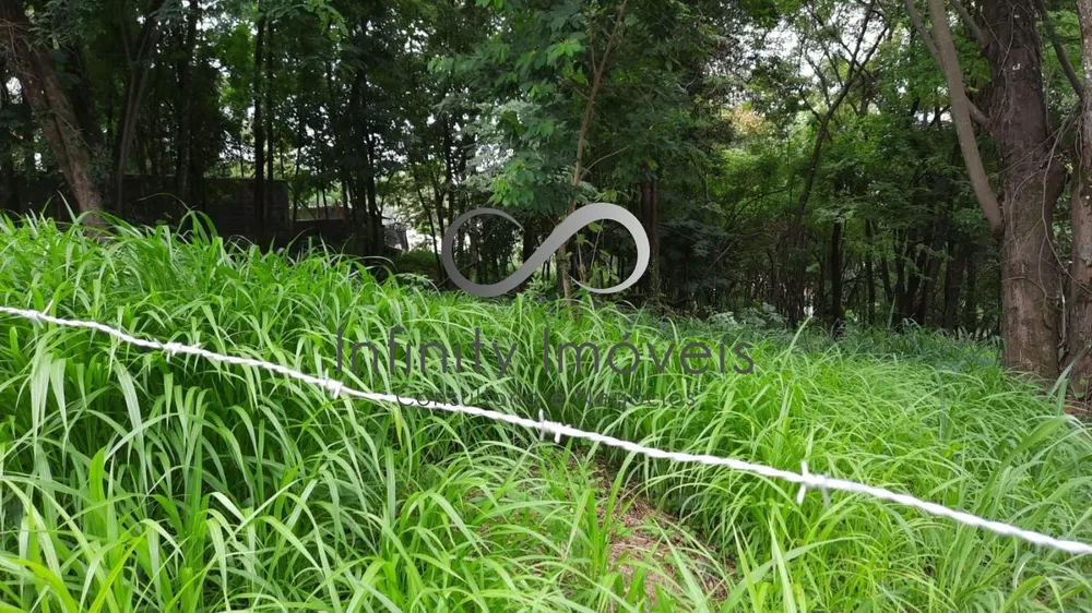 Terreno - Foto 1