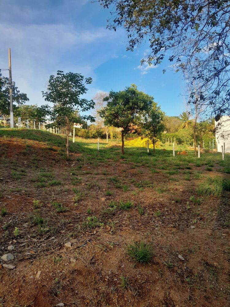 Terreno, 1029 m² - Foto 11