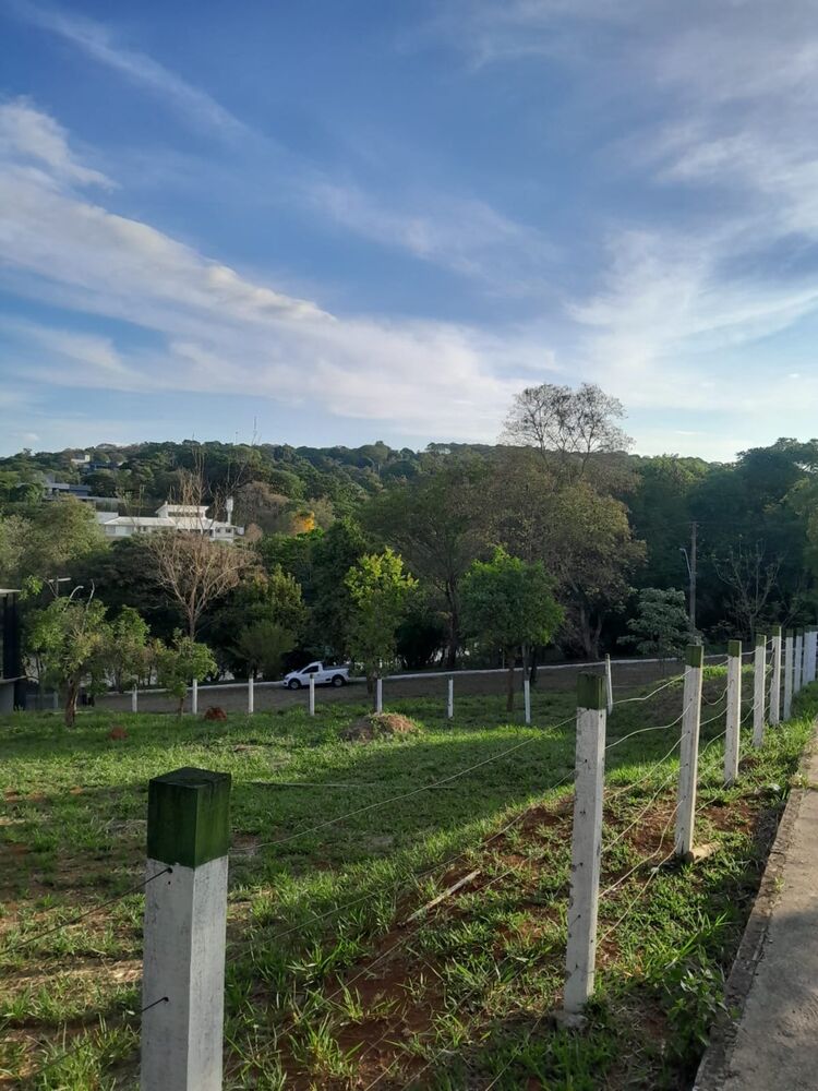 Terreno, 1029 m² - Foto 7