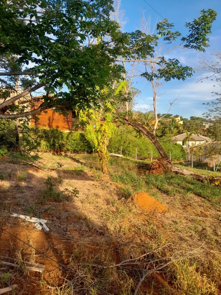 Terreno, 1029 m² - Foto 6