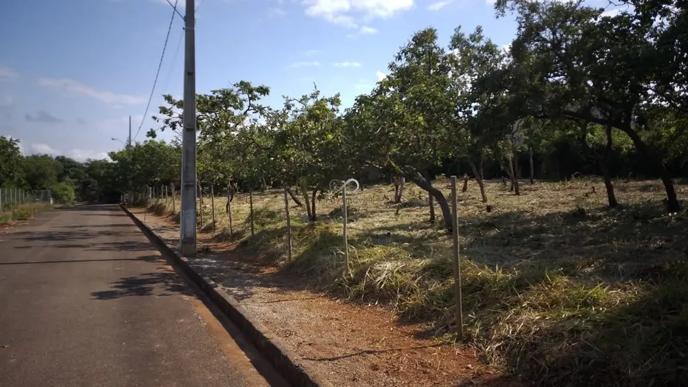 Terreno, 1000 m² - Foto 4
