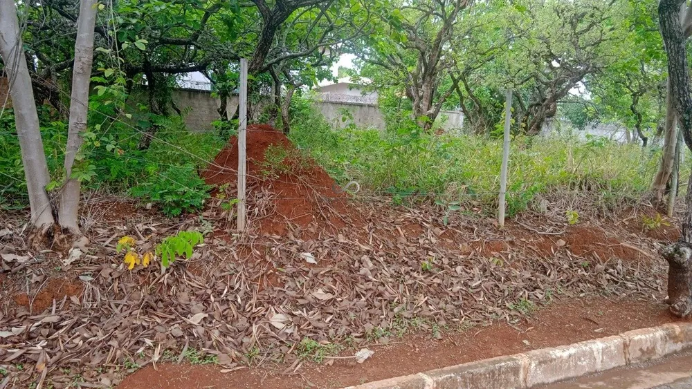 Terreno, 1000 m² - Foto 3