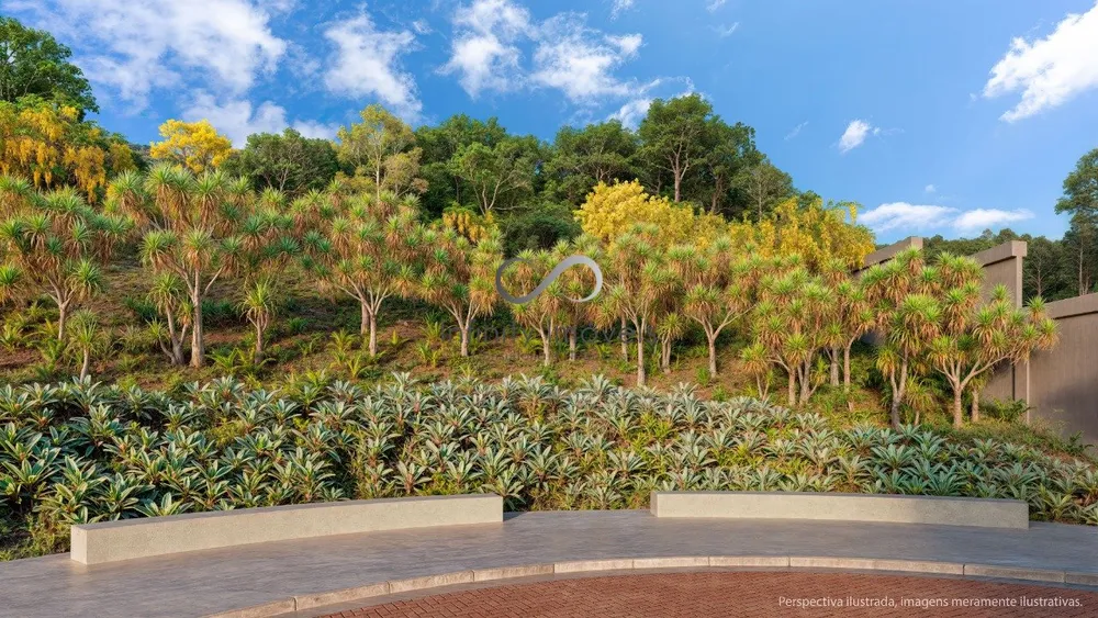 Terreno, 360 m² - Foto 6