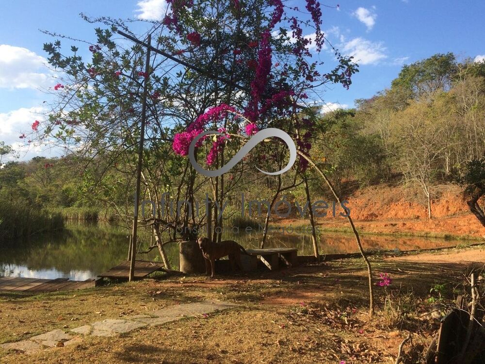 Fazenda à venda com 8 quartos - Foto 2