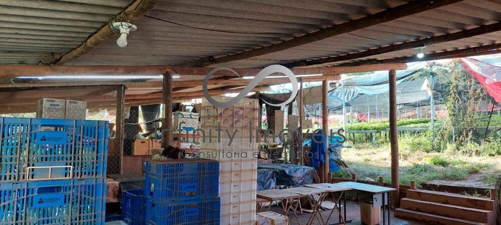 Fazenda à venda com 8 quartos - Foto 6
