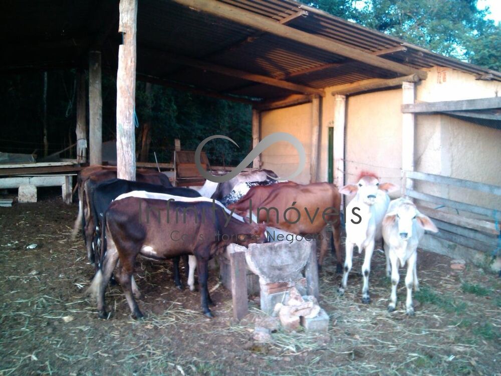 Fazenda à venda com 8 quartos - Foto 17