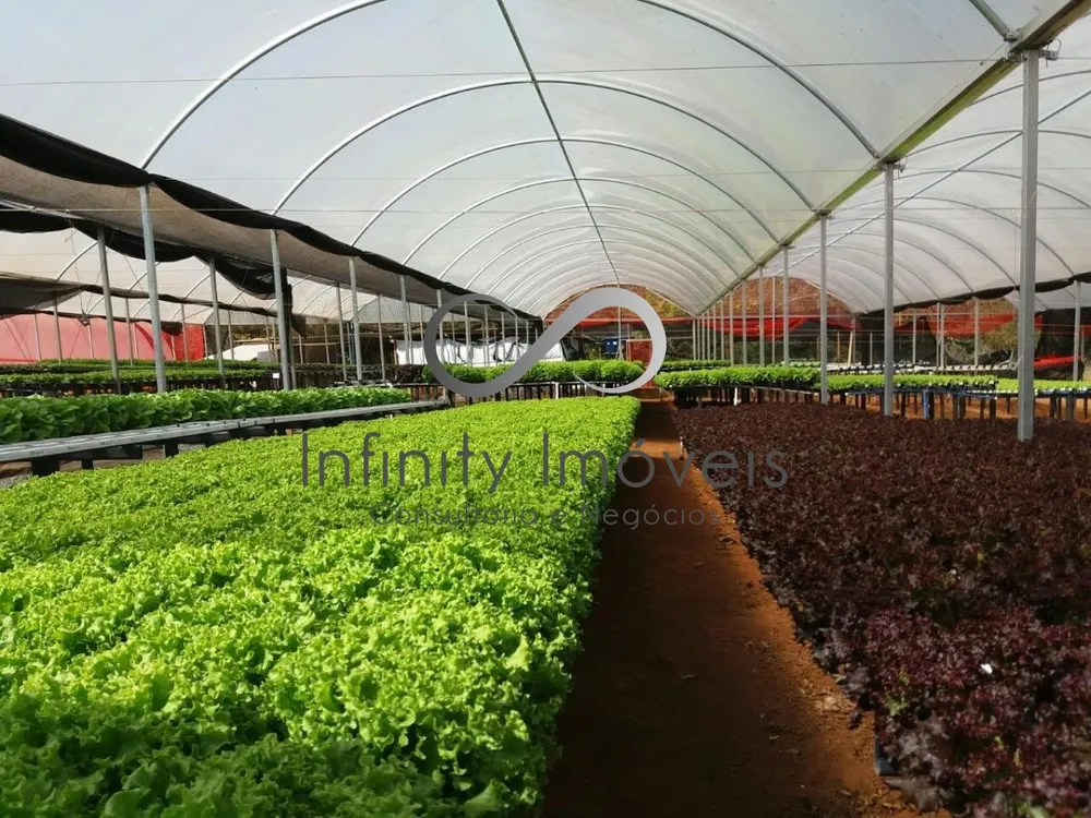 Fazenda, 8 quartos - Foto 6