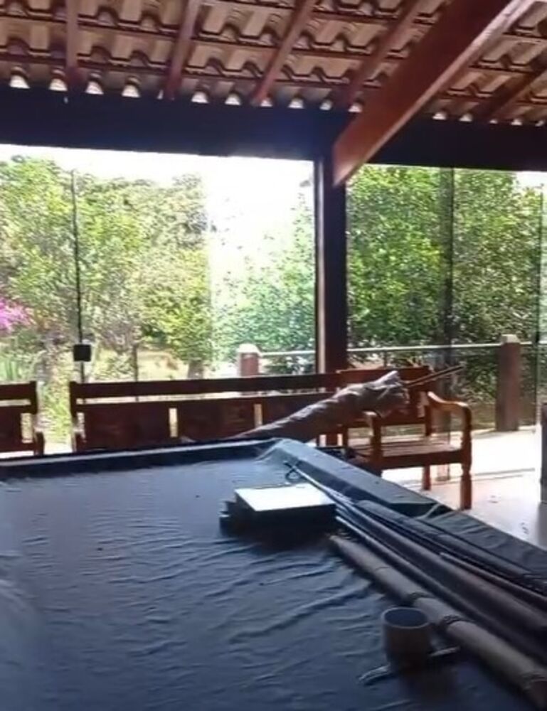 Terreno, 1135 m² - Foto 6