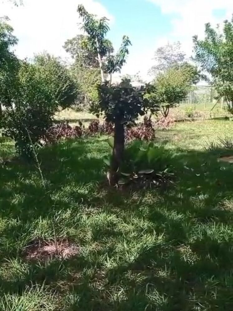 Terreno, 1135 m² - Foto 3