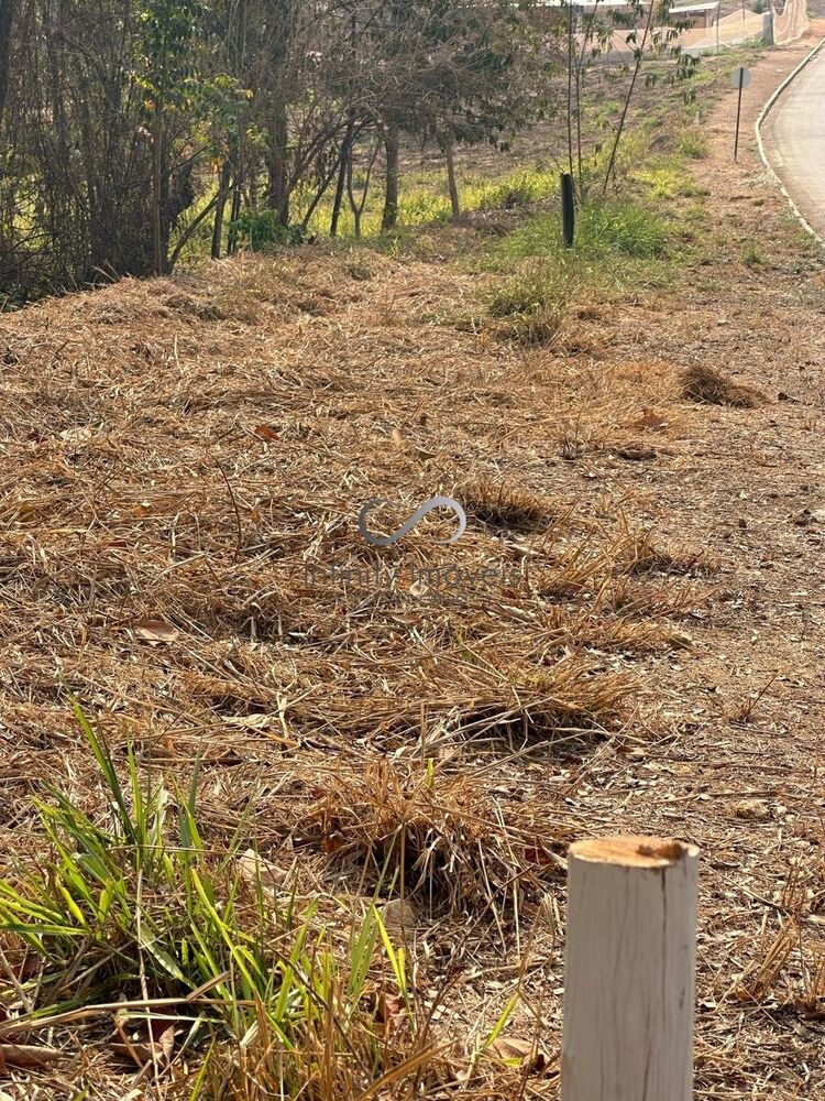 Terreno à venda, 1000m² - Foto 7