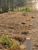 Terreno, 1047 m² - Foto 7