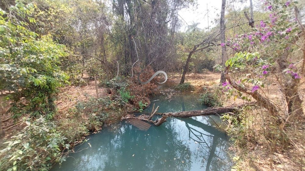 Terreno, 2 hectares - Foto 8