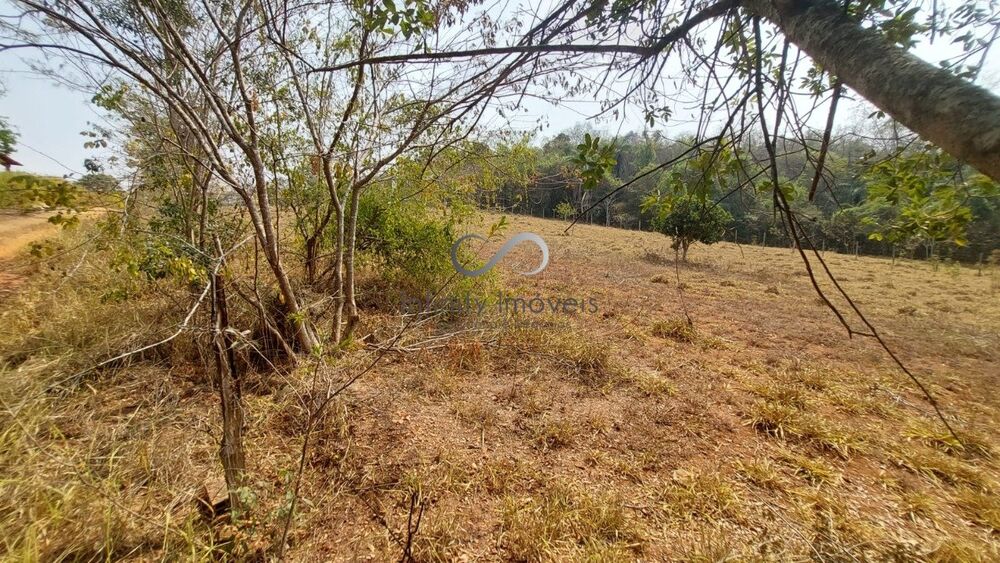 Terreno, 2 hectares - Foto 7