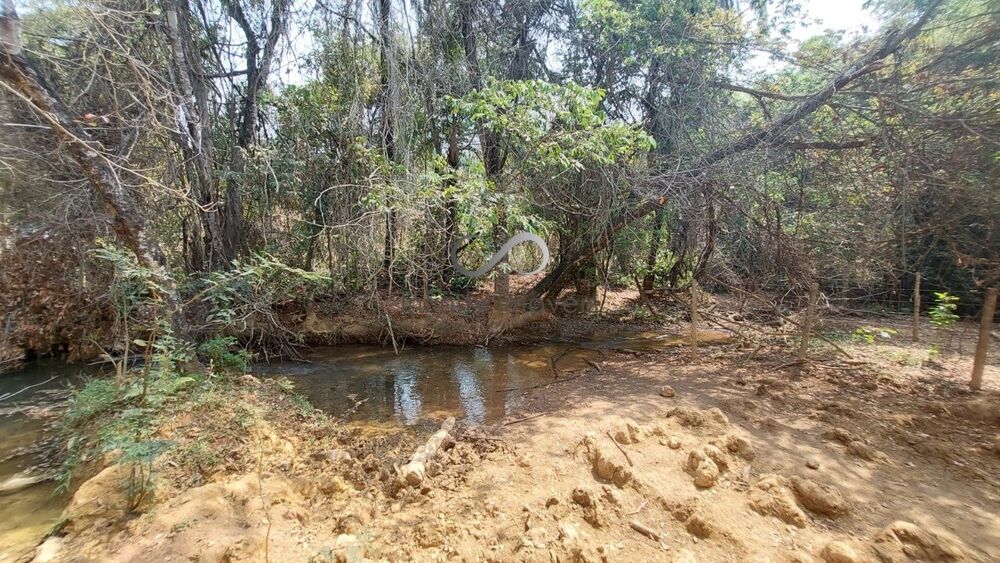 Terreno, 2 hectares - Foto 6
