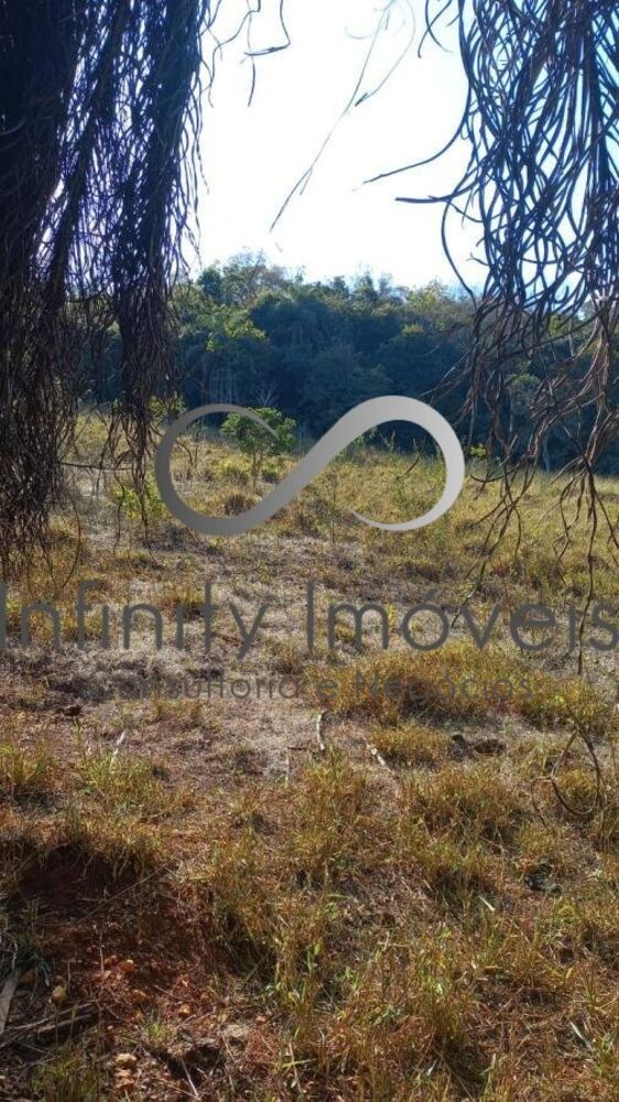 Terreno, 2 hectares - Foto 14
