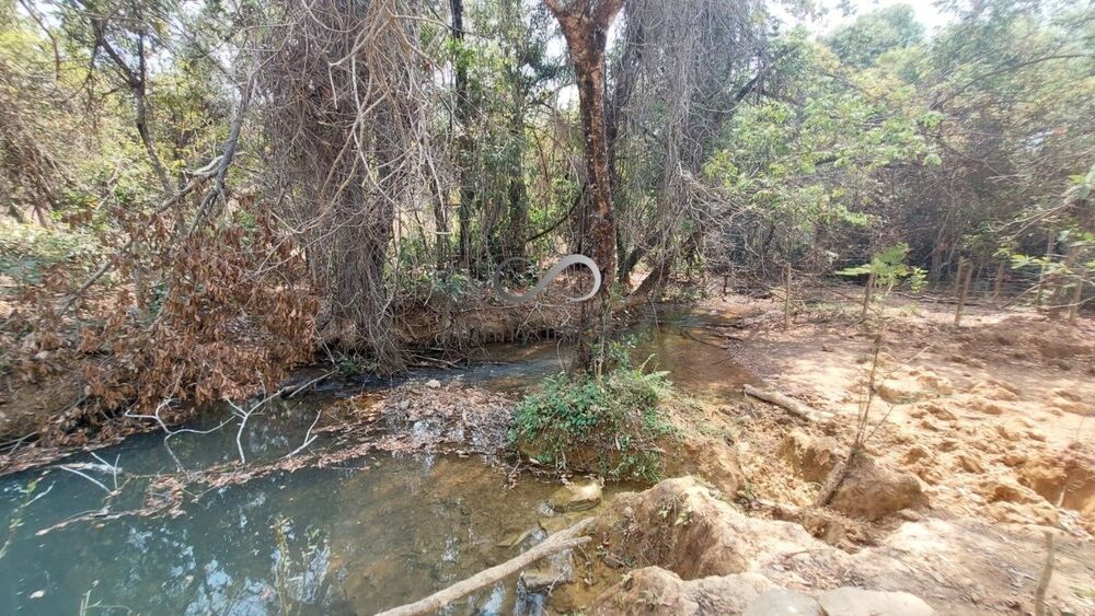 Terreno, 2 hectares - Foto 9
