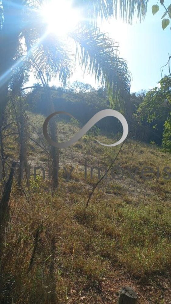 Terreno, 2 hectares - Foto 12